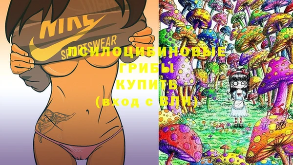 стафф Белоозёрский