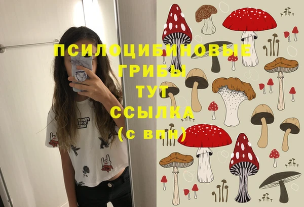 таблы Белокуриха