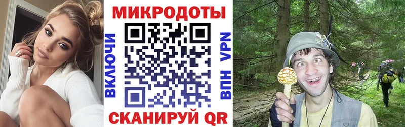 Галлюциногенные грибы GOLDEN TEACHER  Купить закладки  Рузаевка 